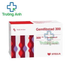 Gemfibstad 300mg - Thuốc điều trị tăng lipid máu